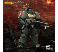 JOYTOY Warhammer 40K Game Edition Heavy Intercessor 10PCS 1/18 Action Figures