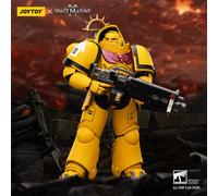 JOYTOY Warhammer 40K Game Edition Heavy Intercessor 10PCS 1/18 Action Figures