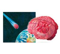 Joywave Brain Damage Picture Single (Vinyl) (US IMPORT)