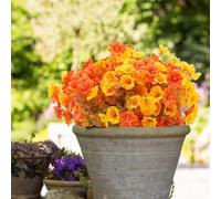 JOYWU 20 Pack Artificial Morning Glory Fall Flowers for Outdoors,Red Yellow Fake Autumn Flower Plants with Adjusable Stems,36cm UV Resistant Faux Silk Morning Glory for Planter Garden Window Box