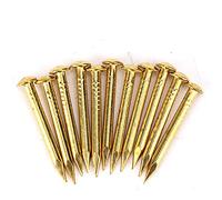 Joyzan 100pcs Upholstery Tacks, Brass Round Head Nail Small Tack Gold Panel Pins Model Making 10mm 15mm 18mm 22mm Assortment Nails for Wood Wall DIY Crafts Home Decor Woodwork Furniture Accessories