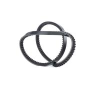 JP GROUP 1118003000 V-Belt