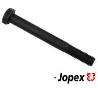 JP GROUP 1140153100 Control arm bolts