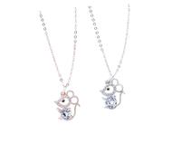 JPXXFM 1pc Elegant Sterling Silver Chains Necklace Jewelry Choker Necklaces for Girls Women's Year of The Rat Clavicle Chain