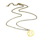 JPXXFM Jewelry New 2025 Arrival 12 Constellation Pendant Necklaces For Women Her Aries Capricorn Taurus Necklace Chains Choker Pendant With For You s Trendy Creative Gift gift