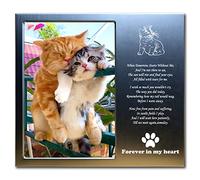 JPYTH Aluminum Cat Memorial Picture Frame with Gift Box, Rainbow Bridge Cat Remembrance Gifts, Loss of Cat Sympathy Gift, Forever in My Heart Metal Keepsake (Fits 4x6 Photo) 4S