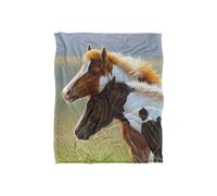 JQ Licensing Cf Two Foals Horses Silky Touch Super Soft Throw Blanket 152 X 127 cm in White JQ Licensing White 152 X 127 cm