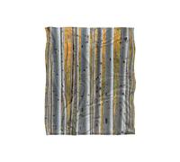 JQ Licensing James Piazza Birch Trees Silky Touch Super Soft Throw Blanket 152 X 127 cm in White JQ Licensing White 152 X 127 cm
