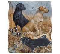 Jq Licensing Jg-Jp Silky Labrador Hunting Supersoft Blanket Multicoloured/multicoloured (One Size, One Size)