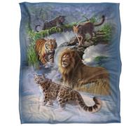 Jq Licensing Jlo Silky Cats Supersoft Blanket Multicoloured (One Size)