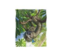 JQ Licensing Jlo Sloth Family Butterlies Silky Touch Super Soft Throw Blanket 152 X 127 cm in White JQ Licensing White 152 X 127 cm