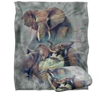 Jq Licensing - Jmm-Jp Elephants Fighting Silky Touch Super Soft Throw Blanket 152 X 127 Cm