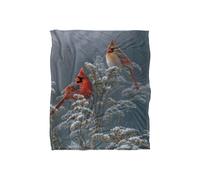 JQ Licensing Lz Winter Cardinals Silky Touch Super Soft Throw Blanket 152 X 127 cm in White JQ Licensing White 152 X 127 cm