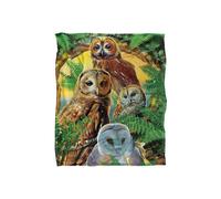 JQ Licensing Rl-Jp Owl Collage Silky Touch Super Soft Throw Blanket 152 X 127 cm in White JQ Licensing White 152 X 127 cm