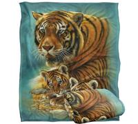 Jq Licensing - Rl-Jp Tiger And Cubs Silky Touch Super Soft Throw Blanket 152 X 127 Cm
