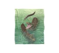 JQ Licensing Royce Mcclure Swamp Alligators Silky Touch Super Soft Throw Blanket 152 X 127 cm in White JQ Licensing White 152 X 127 cm
