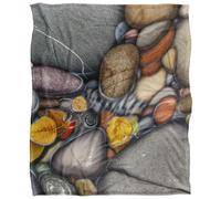 Jq Licensing Silky Stone Autumn Supersoft Blanket Multicoloured (One Size)