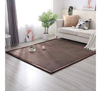 JQDZX Coral Velvet Tatami Rugs, Modern Soft and Comfortable Foam Carpet, Non-Slip Thick Baby Hairless Area Rug Kids Playing Mats,Bedroom Bed Floor Sofa Living Room Carpet (Dark Brown,190 * 190cm)