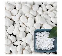 JQGADL Giant Artificial Rainforest Phoenix Palm Plant, Large Faux Palm Tree With Real Touch Leaves, Indoor Fake Greenery For Living Room, Lobby, Commercial Window Decoration(Size:20kg pebbles)