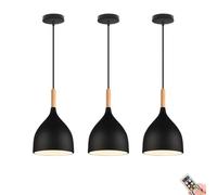 JQQJZLC Black Minimalist Battery Operated Hanging Light with Remote & Bulb,Non Hardwired Pendant Lighting for Kitchen Island, Wireless Battery Operated Chandelier for Living Dining Room Bedside Study