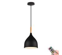 JQQJZLC Black Minimalist Battery Operated Hanging Light with Remote & Bulb，Non Hardwired Pendant Lighting for Kitchen Island, Wireless Battery Operated Chandelier for Living Dining Room Bedside Study