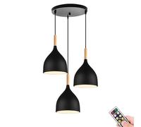 JQQJZLC Black Minimalist Battery Operated Hanging Light with Remote & Bulb,Non Hardwired Pendant Lighting for Kitchen Island, Wireless Battery Operated Chandelier for Living Dining Room Bedside Study