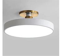 JQQJZLC Modern Minimalist Acrylic LED Ring Ceiling Lamp Round Chandeliers Lamps for Living Room Bedroom Corridor Indoor Ring Lighting Lights Apparec