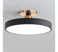 JQQJZLC Modern Minimalist Acrylic LED Ring Ceiling Lamp Round Chandeliers Lamps for Living Room Bedroom Corridor Indoor Ring Lighting Lights Apparec