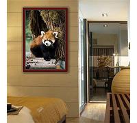 Jqynn 5D Diamond Painting Kit - DIY Square Drill Diamond Painting - Animal Red Panda - 50x70cm - Crystal Crafts - Adults