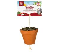 JR Farm Bird Clay Pots For Parrots & Large Parakeets, 260 g - 4 Pack
