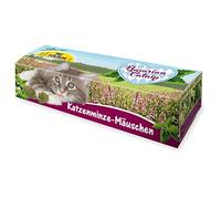 JR FARM Cat Bavarian Catnip Mickey Mouse