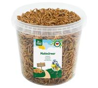 JR Farm Garden Meal Worms 400 G Bucket for Wild Birds, New