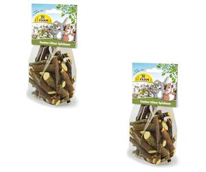 JR FARM Nibble Wood Apple Tree | Double Pack | 2 x 100 g | Snack for Dwarf Rabbits and Rodents | Can Support Tooth Abrasion | Can contribute to meaningful activity