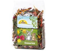 JR Farm Raw Rodent snack - Summer field - 100g