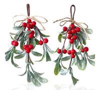 Jremreo 2 Pack Artificial Mistletoe Hanging Ornaments, 24cm Length, Red Berries, Christmas Décor for Doors, Walls, Fireplaces, Seasonal Xmas Holiday Home Decorations, Winter Wonderland Décor