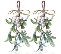 Jremreo 2 Pack Artificial Mistletoe Hanging Ornaments, 24cm Length, White Berries, Christmas Décor for Doors, Walls, Fireplaces, Seasonal Holiday Xmas Home Decorations, Winter Wonderland Décor