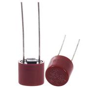 Jrudjsnhhty 10 Pcs Radial Cables Slow Blowing Micro-Fuse T3.15A 250V