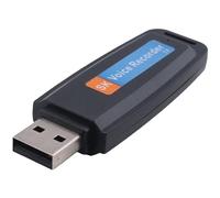 Jrudjsnhhty Portable Rechargeable U-Disk USB Digital Audio Voice Recorder Mini Dictaphone Activated Recorder -Black