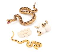 Jrudjsnhhty Realistic Animal Life Growth Cycle Biological Model Toys Snake Growth Cycle Biological Model Rattlesnake Growth Cycle