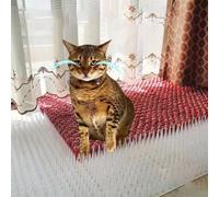 Jrudjsnhhty Spikes Repeller Cat Plastic Bird Repellent Anti Pigeon Anti-Bird Squirrel Garden Fences Control Transparent Spikes