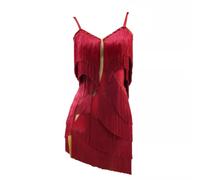 JRUIA Cha Cha Performance Costume Women's Fringe Latin Dance Dresses Tango Ballroom Dancewear Skirt for Samba Salsa,A,L
