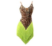 JRUIA Latin Dance Performance Dresses for Women Leopard Print Salsa Tango Competition Skirt Tassel Ballroom Dance Costume,B,M