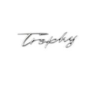 JRZCXGZX 3D Car Metal Trophy Letters Rear Trunk Body Decals Badge Emblem Stickers for MG 5 6 MG5 MG6 ZS HS MG3 XPower Styling Accessories,Silver Style