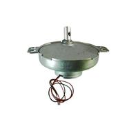 JS-530 electronic starter 2RPM 6V Double Flat Shaft DC High Torque Microwave Micromotor POM Gear Gearbox CZAOINCU