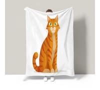 JSCWDET Cute Ginger Cat Illustration Home Flannel Fleece Soft Warm Plush Throw Blanket For Bed/Couch/Sofa/Office/Camping,Cartoon Animal Design 30"×40"