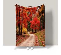 JSCWDET Winding Path Home Flannel Fleece Soft Warm Plush Throw Blanket For Bed/Couch/Sofa/Office/Camping,Forest Autumn Scene 71"×87"