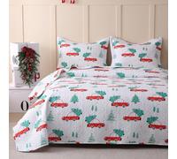 JSD Red Cars Kids Christmas Quilt Set Full/Queen, 3 Piece Xmas Printed Bedspread Coverlet with Pillow Shams