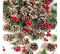 JSDJ 120Pcs Christmas pine cones Berry Pine Branch ornaments set White winter Decorations or DIY Crafts Home decor Xmas Tree Gift Tags Party Supplies, Including different sizes