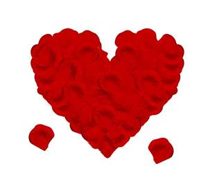 Jsdoin 1200 Pieces Silk Rose Petals, Artificial Red Rose Flowers No-Taste Fade Emulation Rose Petals for Romantic Scenes Wedding Anniversary, Confession Decoration,Birthday (Red)