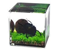 JSGHGDF Clear Acrylic Specimens Cube with 4Cm and 5Cm Size Nature Discovery Learning Tool for Study and Home Decoration Cube